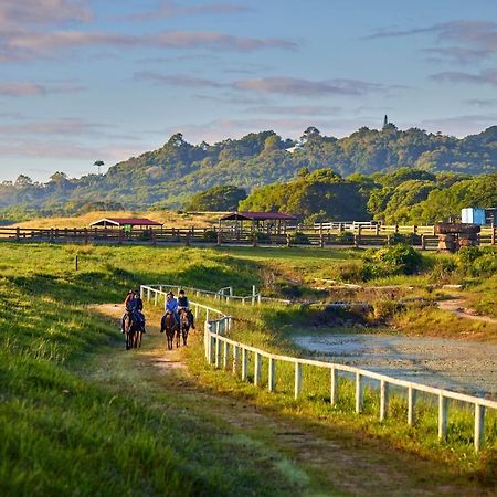 Kur-Cow Farm Escape 35 Minutes From Cairns Hotel Kuranda Exterior photo