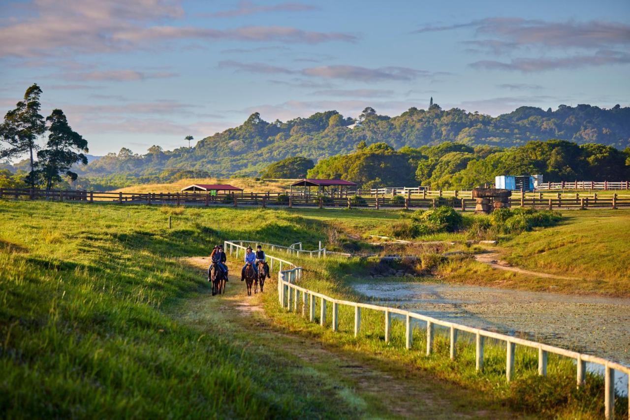Kur-Cow Farm Escape 35 Minutes From Cairns Hotel Kuranda Exterior photo
