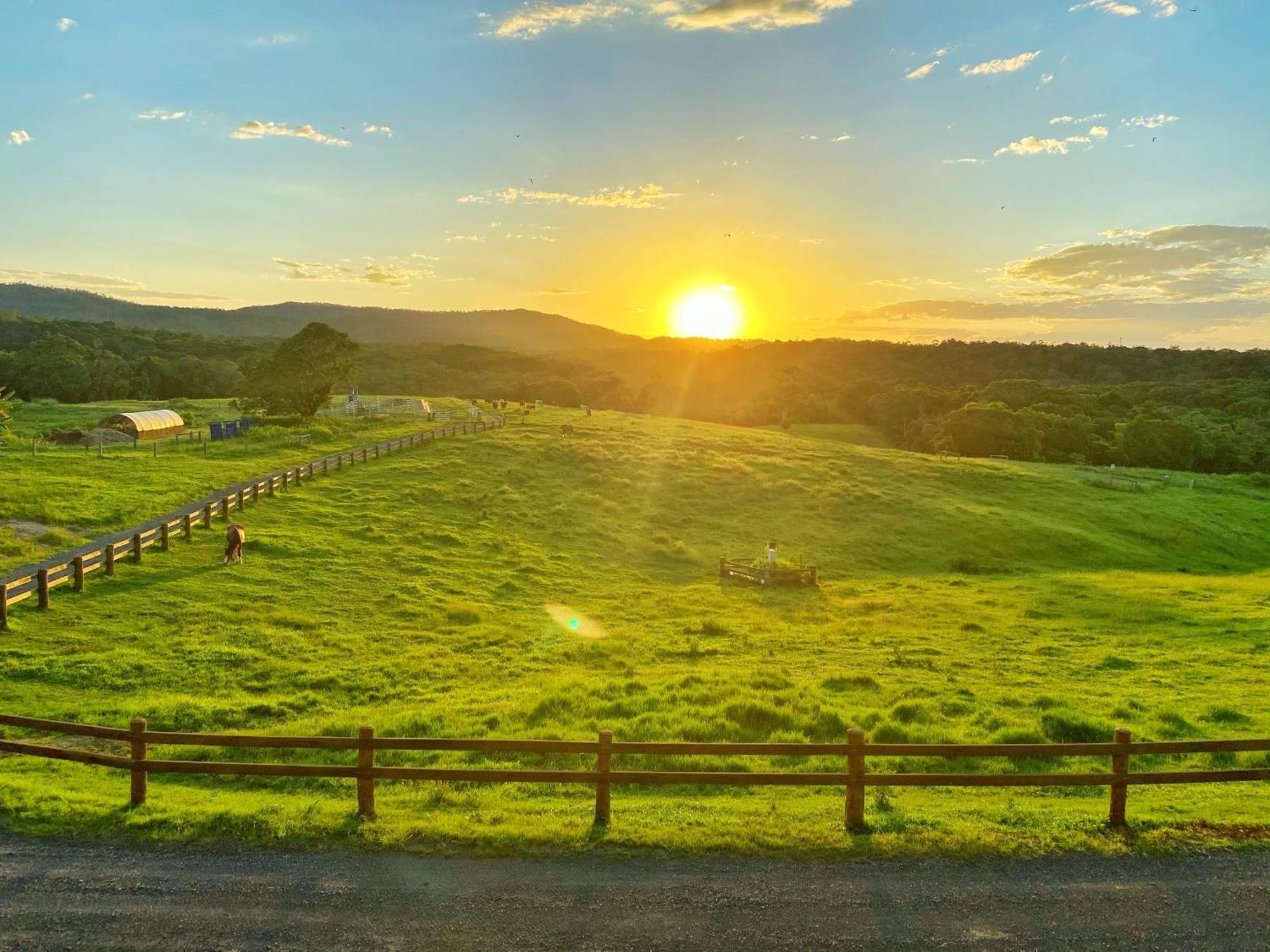 Kur-Cow Farm Escape 35 Minutes From Cairns Hotel Kuranda Exterior photo
