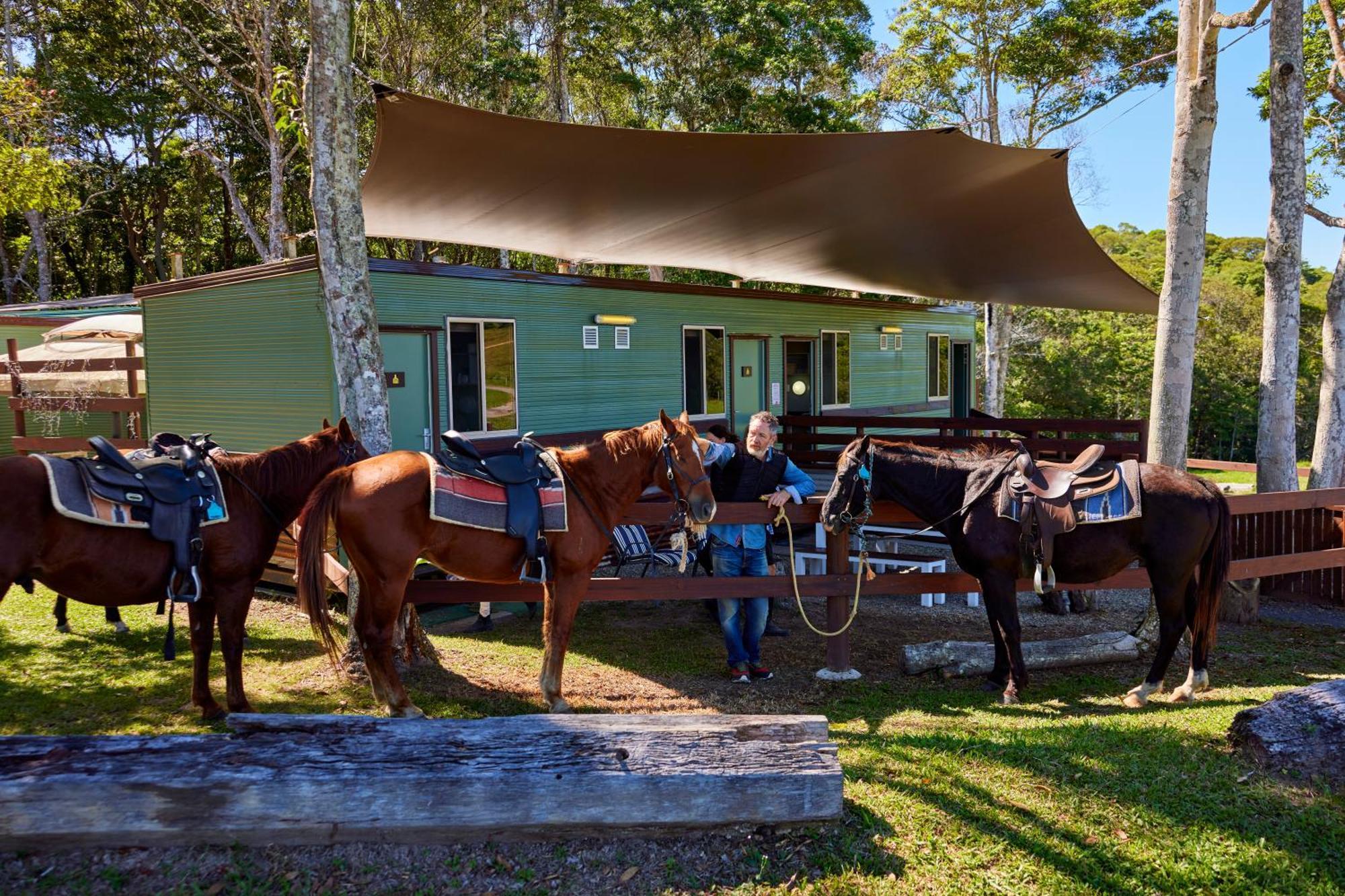 Kur-Cow Farm Escape 35 Minutes From Cairns Hotel Kuranda Exterior photo