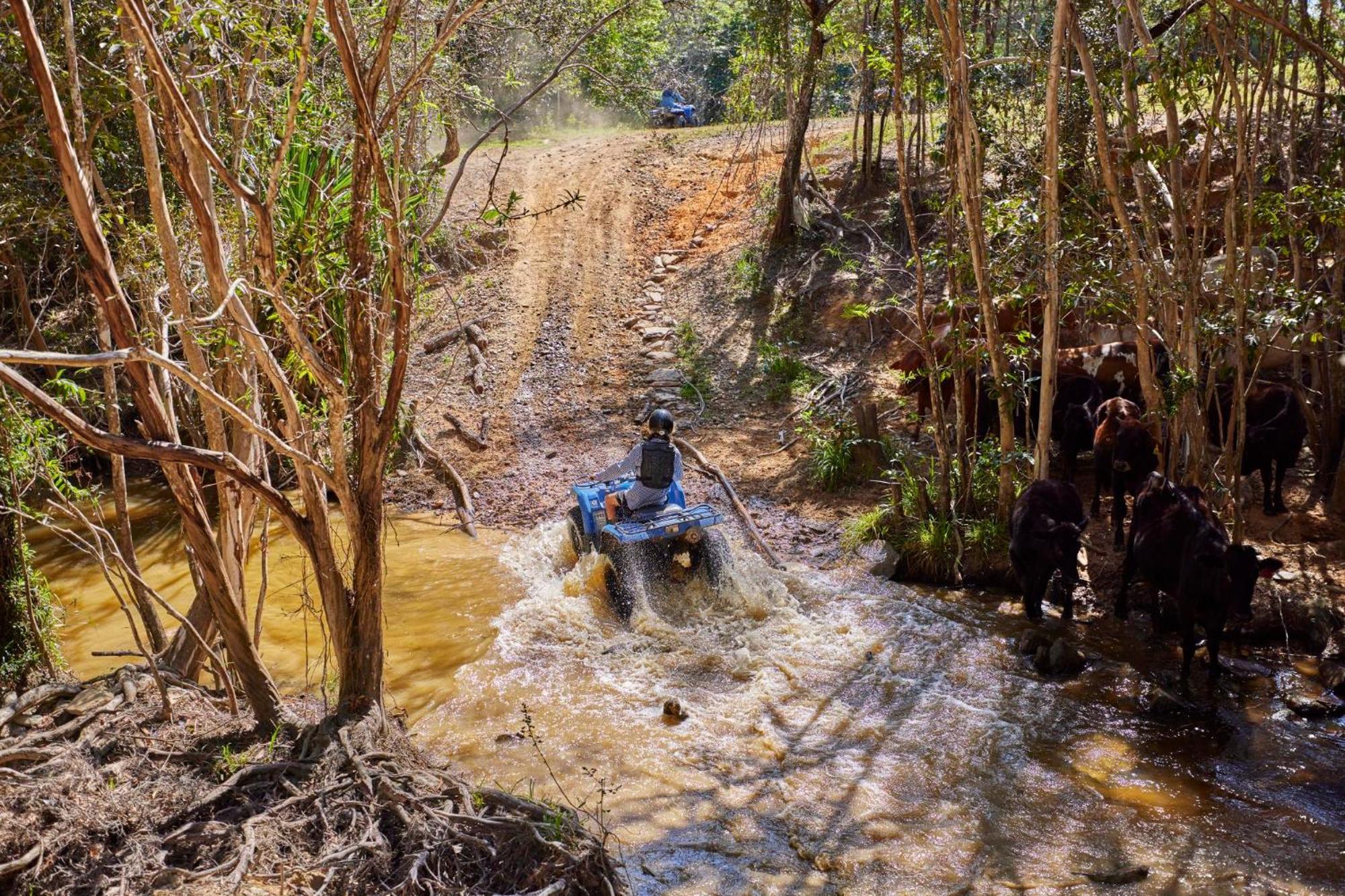 Kur-Cow Farm Escape 35 Minutes From Cairns Hotel Kuranda Exterior photo